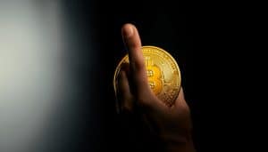 middle finger meme coin